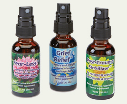 Featured Brand