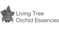 Living Tree Orchid Essences