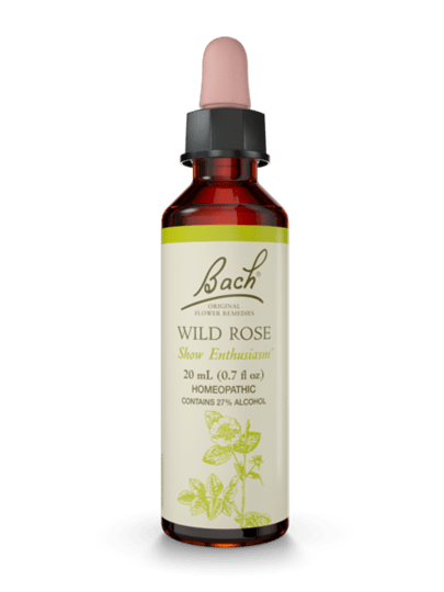 Wild Rose Wild Rose