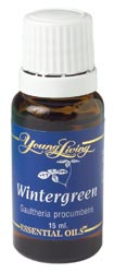 Wintergreen Wintergreen