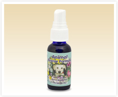 Pets Flower Essence Services