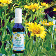 Arnica Allay (Arnica Alleve)