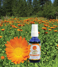 Calendula Caress 2 oz