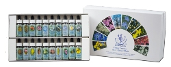 Healing Herbs Kit (40 ess)