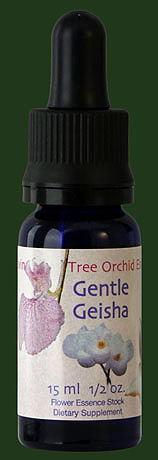 Gentle Geisha