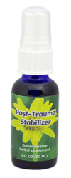 Post Trauma Stabilizer