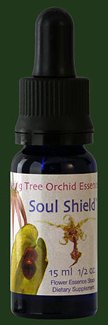 Soul Shield +