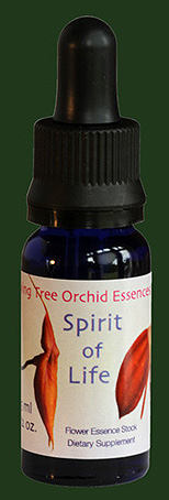 Spirit of Life