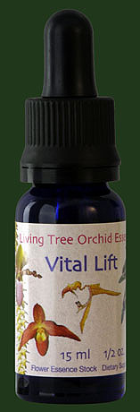 Vital Lift