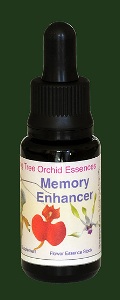 Memory Enhancer