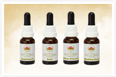 ABFE Individual Essences