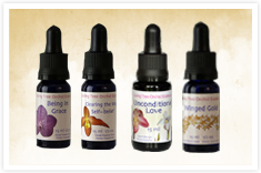 Individual Essences