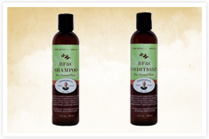 Personal Care