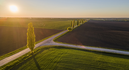 Cultivated farm fields illuminated by evening sun. Aerial photo
