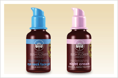 ABFE Skin Care Products