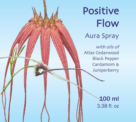 Positive Flow Spray