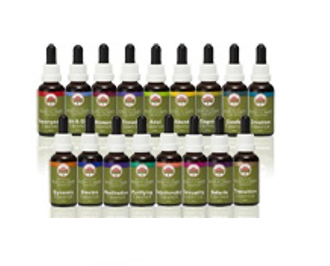 Kit of 20 Combination Essences