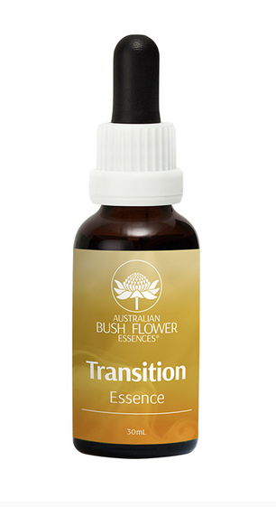 Transition Essence