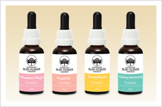 Parenting and Childcare Combination Essences