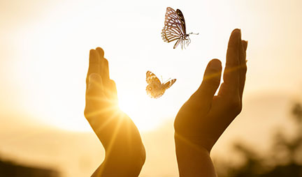 A pair of hands held in the air with two butterflies flying between the palms.