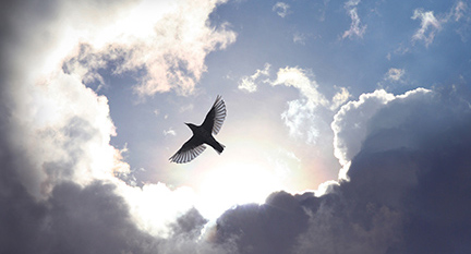 Angel Bird flies over dramatic heavenly sky.