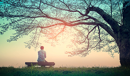 Male teenager Sitting alone on a bench in the park under a tree .