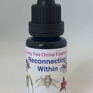 Reconnecting Within